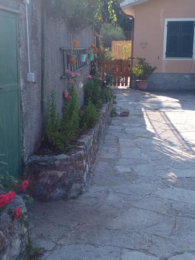 Soleluna Holiday home